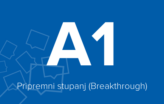 A1