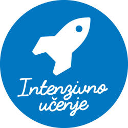 intenzivno